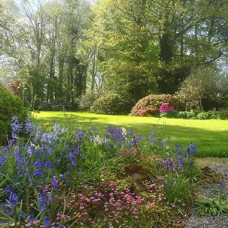 Carncairn Villa Broughshane Cameră foto